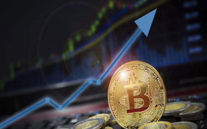 افزایش قیمت بیت کوین افزایش قیمت بیت کوین
