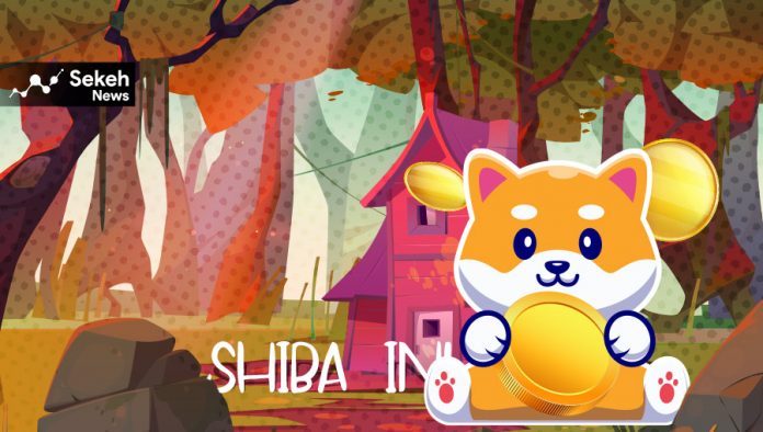 توکن شیبا اینو(Shiba Inu) چیست؟