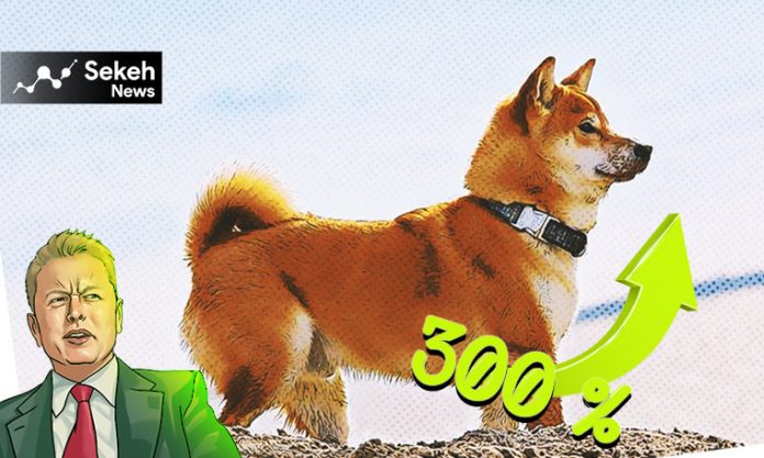 Artboard 5 2 افزایش 300 درصدی قیمت رمزارز گمنام با دخالت ایلان ماسک