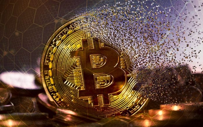 Which-One-Should-Investors-and-Entrepreneurs-Pursuit-Bitcoin-or-Blockchain-980307-parinazver0-s-min