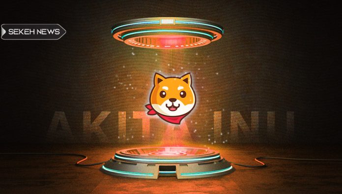 آشنایی با ارز دیجیتال آکیتا اینو (AKITA)