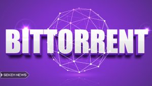 بیت تورنت (BTT)