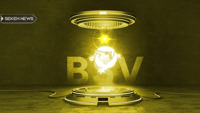 آشنایی با ارز دیجیتال بیت کوین اس وی (BSV)