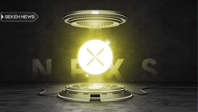 آشنایی با ارز دیجیتال پاندی ایکس (NPXS)