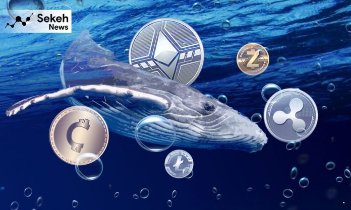 ابرنهنگ-ها-68-درصد-از-کل-موجودی-اتریوم-را-در-اختیار-دارند