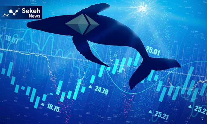 احتمال-تسلط-نهنگ-ها-بر-سهام-گذاری-اتریوم-2