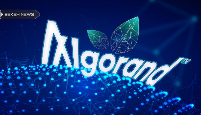 آلگوراند می خواهد سبزترین بلاک چین باشد