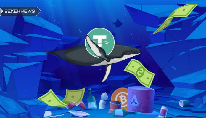 انتقال 2.37 میلیارد تتر توسط نهنگ ها هنگام افت بیت کوین