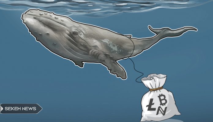 انتقال 2 میلیارد دلار بیت کوین توسط نهنگ عظیم الجثه و مرموز