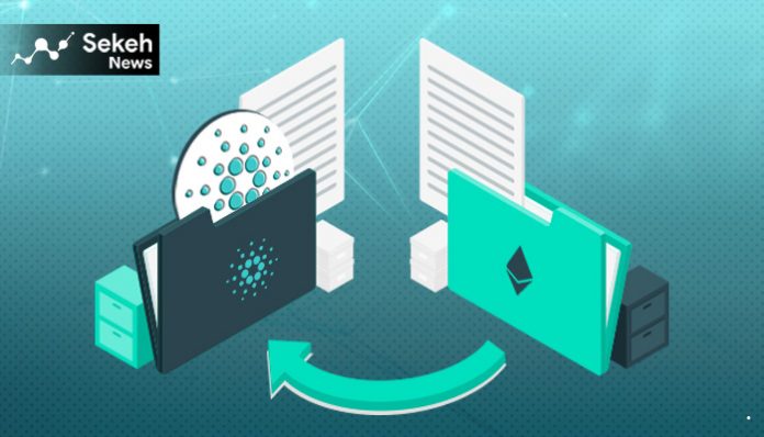 مدیرعامل کاردانو: انتقال بیش از 100 شرکت از اتریوم به کاردانو