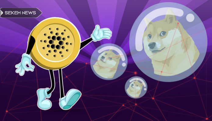 خالق کاردانو: دوج کوین حباب خطرناک است