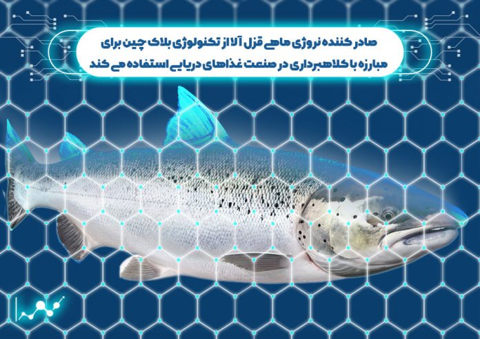صادر کننده نروژی ماهی قزل آلا از تکنولوژی بلاک چین برای مبارزه با کلاهبرداری در صنعت غذاهای دریایی استفاده می کند