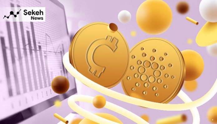 کاردانو به پلتفرم معاملات حرفه‌ای بلومبرگ اضافه شد